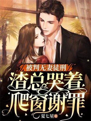 私家独宠:帝少的贴身保镖
