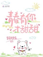 无敌英雄系统